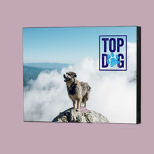 Load image into Gallery viewer, Wall Board (various sizes)