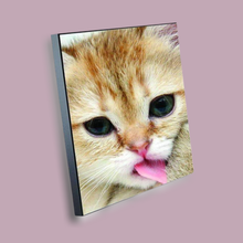 Load image into Gallery viewer, Wall Board (various sizes)