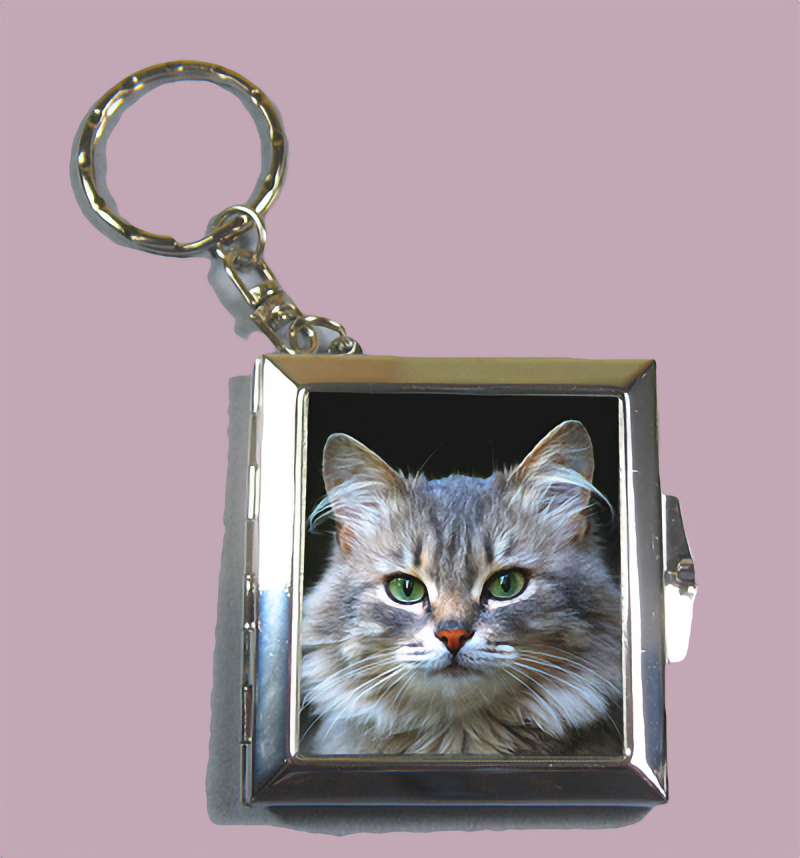 Keyring with mirror